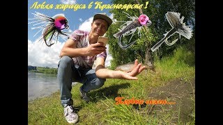 Рыбалка на остров татышева в красноярске