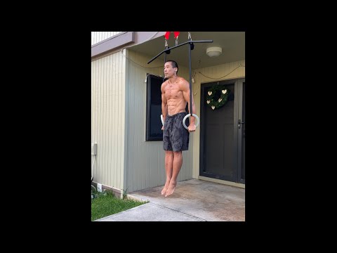 Day 236 FitPro Hawaii Workout - Ring Dip Lockouts + Horizontal Pull Ups - January 5, 2021, 5:20 pm