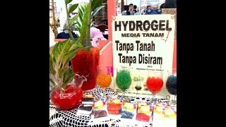 preview picture of video 'Jual Hydrogel Aman Dan Tidak Beracun Depok'