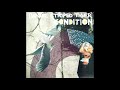 Daniel Striped Tiger - Condition