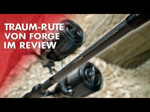 Mehr Rute geht nicht für den Preis! Forge Suprema Review