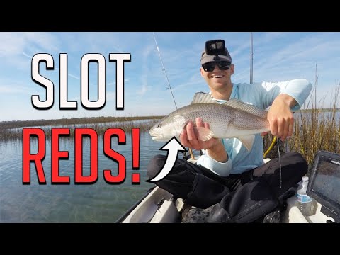 How To Find, Stalk, & Sight Fish Schooling Redfish