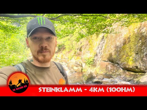 Wanderung Steinklamm bei Spiegelau-Bayrischer Wald #04 | 4km/100hm | 2023 | Red84 - The Walking Red