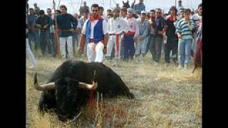 Tauricida - Doctor Krapula