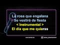 Alejandro Fernandez - El Dia Que Me Quieras (Versión Karaoke)