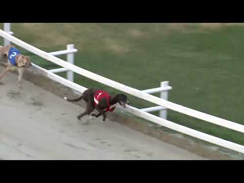 2022.07.01. 05. futam - Kincsem Park Magyar Derby Consolation