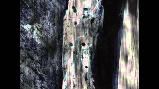 Kalte Sonne - Paramnesia (2014)