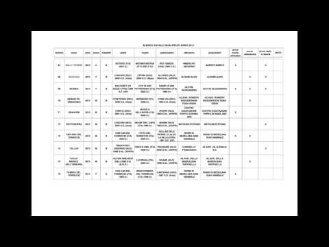 Catalogo cavalli classificati alla finale del Circuito Allevatoriale MIPAAF - Fierecavalli 2016