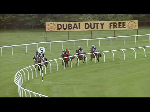 DIAR 2019 International Stakes