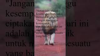 Download lagu #beach #affiliatemarketing #quotes #setiapyangkulakukanuntukdirimu #motivation  #storywa #edm mp3