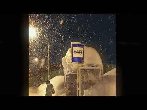 бредишь - на руках (hardstyle remix) | plague