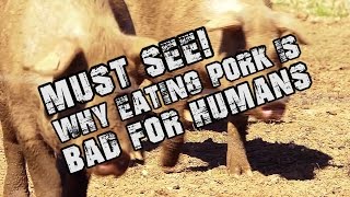 Understanding the Harmful Effects of Pork Consumption
In this enlightening episode, Eddie discusses why eating pork is det...
