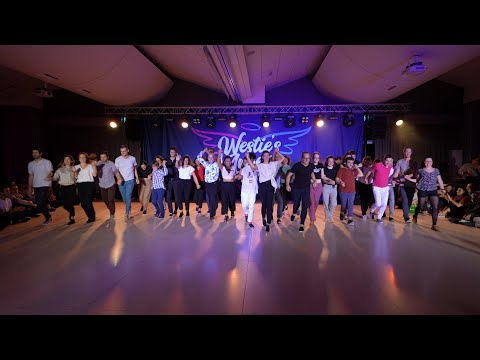 Westie's Angels 2022 - J&J NOVICE Finals