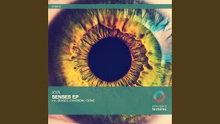 Senses