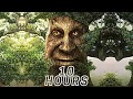 Wise Mystical Tree 10 Hours