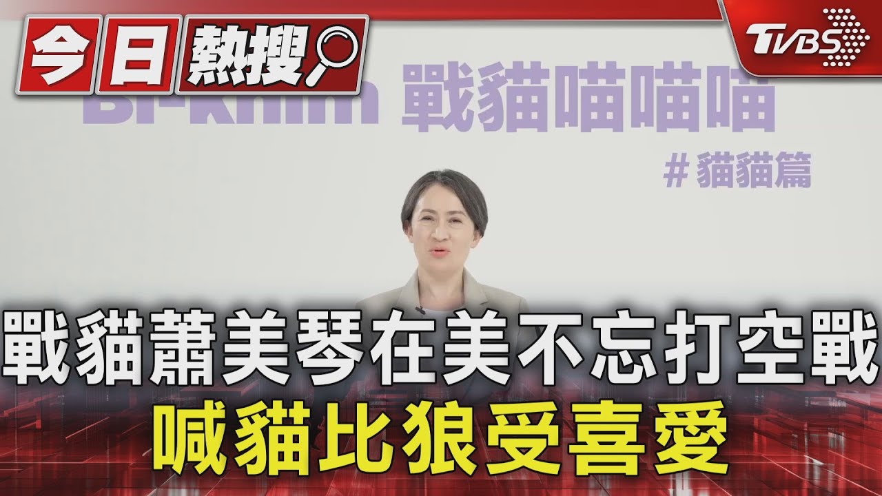 戰貓蕭美琴在美不忘打空戰!喊貓比狼受喜愛