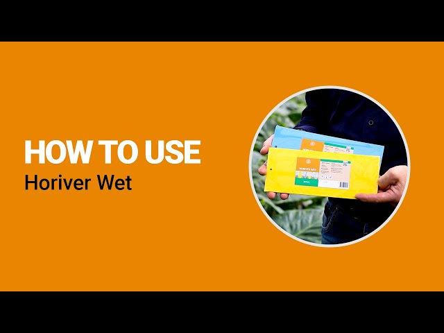 كروت لاصقة Koppert لمكافحة ورصد الذبابة البيضاء والتربس والذباب الفطري 10 سم*25 سم ( 10 حبة )