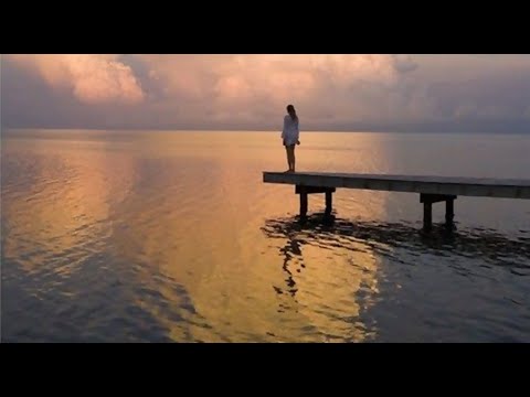 Cesare Cremonini, Lucio Dalla   Stella Di Mare