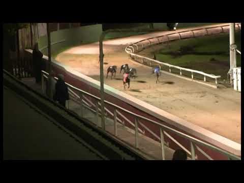 Sonic Spur - SIS Yorkshire  St Leger 1st Semi-Final