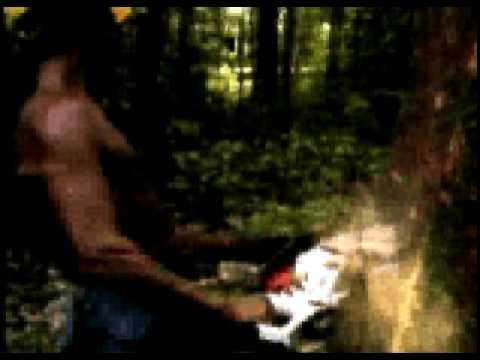 Coldcut & Hexstatic - Timber (EBN Remix)