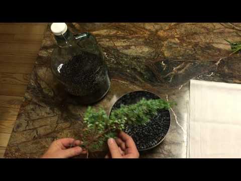 So können Sie Gin selber herstellen