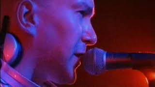 JAN WAYNE - Love Is A Soldier (live)