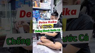 Download lagu Detox Koika khử clo giúp cá k bị sốc nước #detox #koika #aquarium #short #shortsvideo mp3