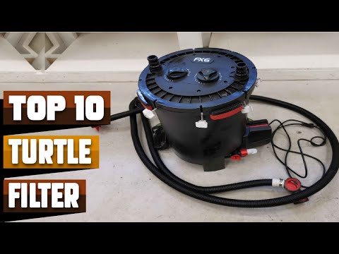 Best Turtle Filter In 2026 - Top 10 Turtle Filters Review