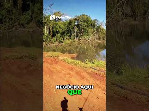 Cheguei! Vamos Bater Isso Agora! Veja em Primeira Mão! #fishing #peixesamazonicos #pescaria
