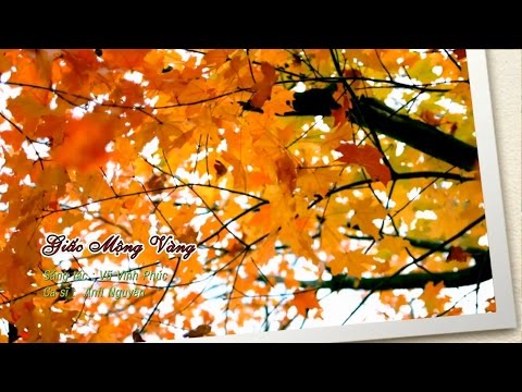 Giấc mộng vàng - Anh Nguyên