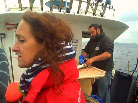 "When seagulls follow the trawler it's cz they think sardines 'll be thrown into the sea."