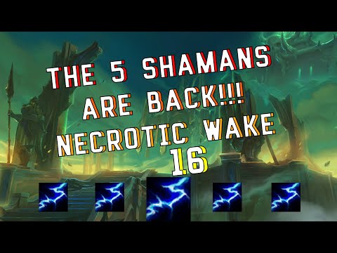 THE SHAMANS ARE BACK AT IT!!! | 5 Elemental Shaman Team | +16 NW