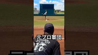 元プロ井納翔一×三嶋一輝 奇跡のバッテリー #shorts