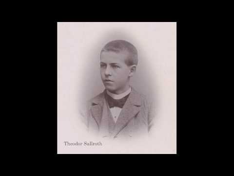 Visa om mordet i Johannishus år 1899 & mördaren Theodor Sallroth. Melodi: Vännelill av Alice Tegnér.