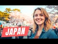 Visiting Japan In April 2026 Your Complete Guide To Tokyo Kyoto And Cherry Blossom Adventures