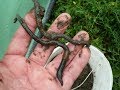 Железняк месяц спустя ( часть 2 ) . Железняк месяц спустя ( часть 2 ) .