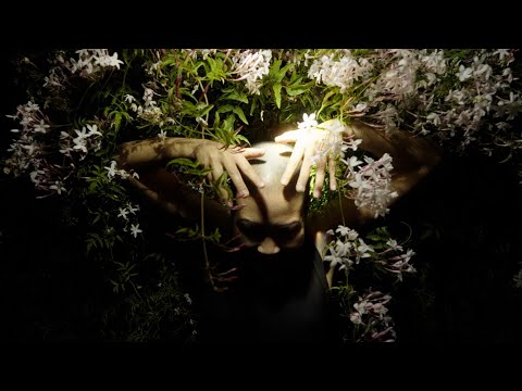 Planet Q - Midnight Jungle In Africa (Official Music Video) Tomoki Sanders + Kyoko Takenaka