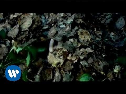 Video thumbnail for Tu mano dirá