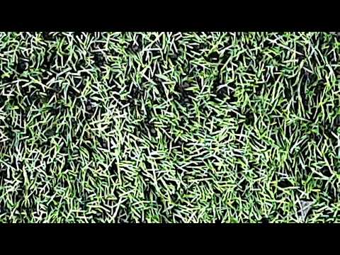 Ols.sin vs Rops - 27/08/2022