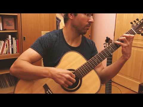Vlasta Redl: Topol (acoustic guitar cover)