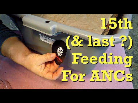 15th feeding for 130-day African nightcrawler system - vermicompost