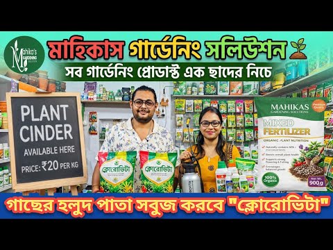 গাছের হলুদ পাতা সবুজ করুন "ক্লোরোভিটা" দিয়ে: গার্ডেনিং জগতে ঐতিহাসিক বিপ্লব ও যুগান্তকারী আবিষ্কার 🌱