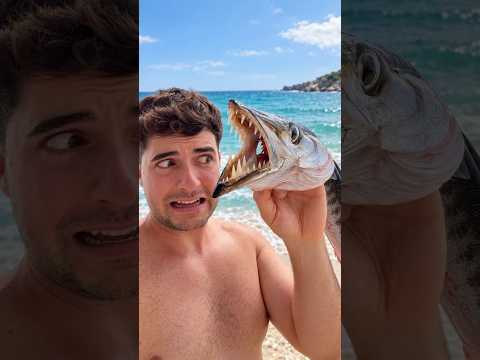 Pesco PEZ con dientes ENORMES | Pesca y Cocina #peces #playa #animales