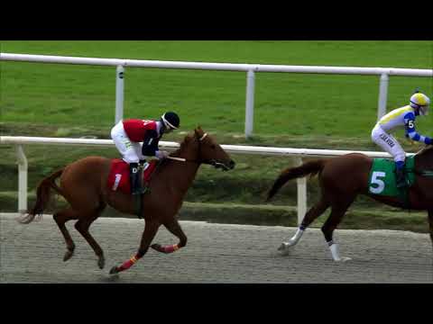 210905 c01 LATERAL CON SALIDA