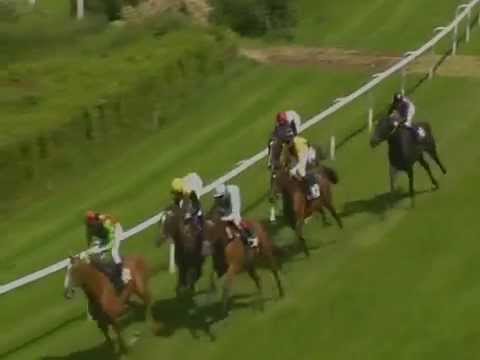 Hamburg, Preis der Schwartauer Werke, 30.6.12, Sieger: Zwegat