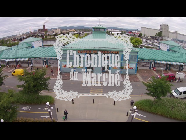 La voie agricole – Médecine vétérinaire