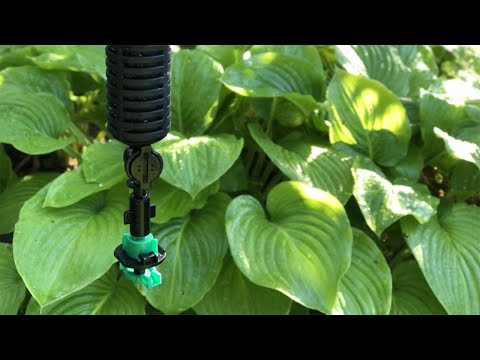 Подвесной мини дождеватель с антикапом "Колибри", радиус до 2,2 м, расход 43 л/ч, для полива теплиц и парников - фото 2 - id-p1546180697