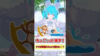 【ちょこっと雑学！】09.クマは時速50kmで走れる！？　#shorts #バーチャル警備員ムーさん #VRChat #vtuber