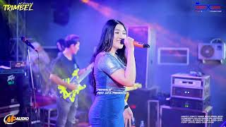 Download lagu TRIMBEL N'FRIEND - ADA RINDU - ULFA DAMAYANTI | HAPPY PARTY NGAK NGIK NGAK NGIK - KRIYAN JEPARA mp3