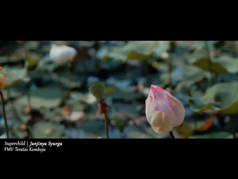 (OST TERATAI KEMBOJA) Superchild - Janjinya Syurga (Lyric Video)